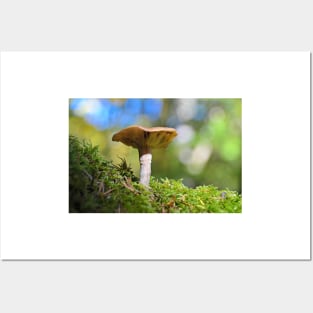 Magical Mushroom Posters and Art